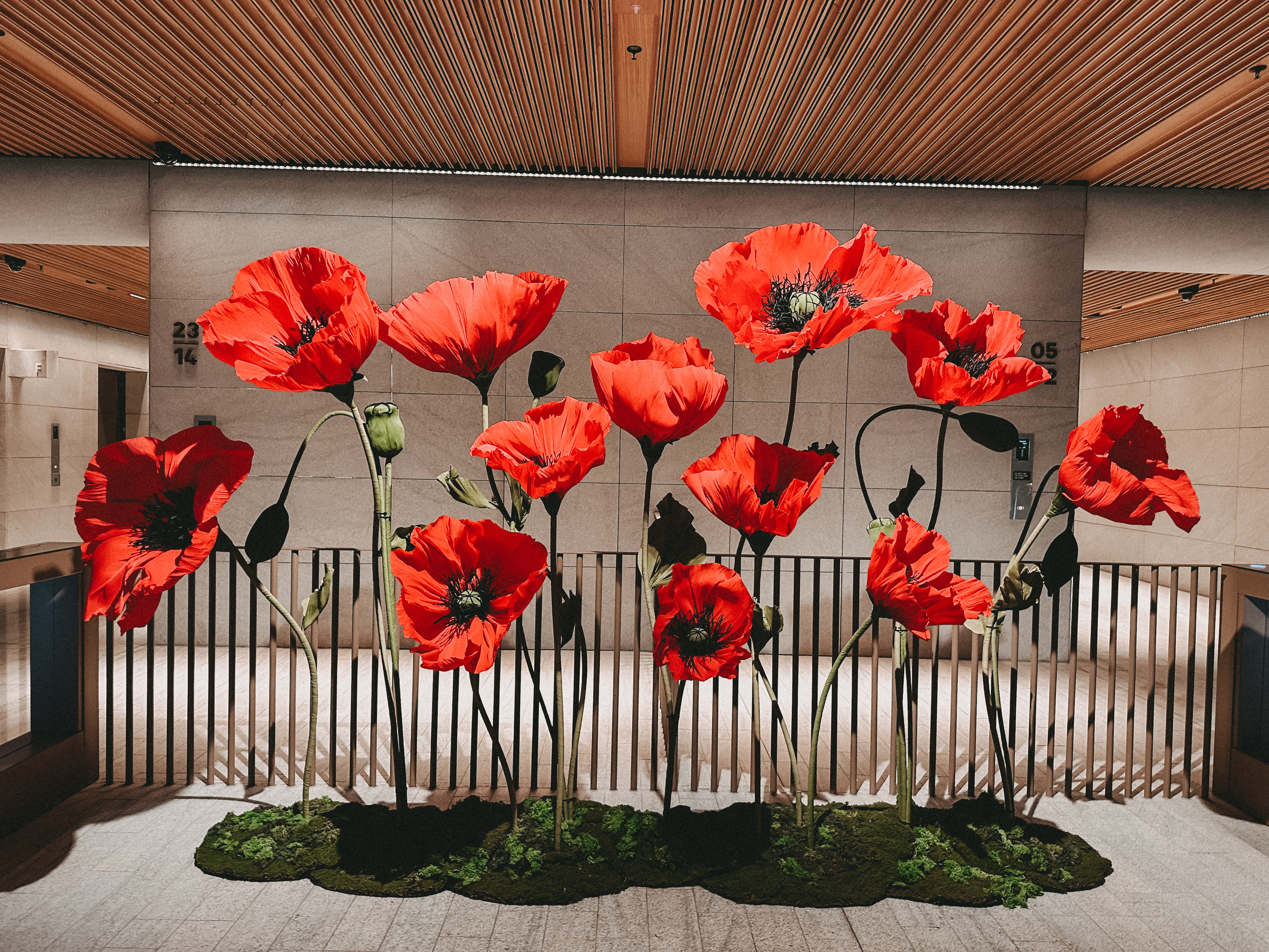 Brisbane installation 1